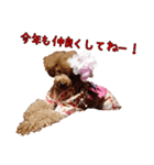 トイプードル  J   ～お正月編 2（個別スタンプ：7）