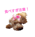 トイプードル  J   ～お正月編 2（個別スタンプ：13）