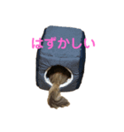 ぷりぷりぷりお（個別スタンプ：2）