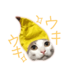 ツンデレのリオスタンプ（個別スタンプ：7）