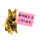 くろねこねころうとさびねこももえ（個別スタンプ：1）