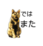 くろねこねころうとさびねこももえ（個別スタンプ：12）