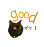 くろねこねころうとさびねこももえ（個別スタンプ：15）