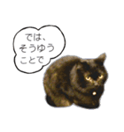 くろねこねころうとさびねこももえ（個別スタンプ：23）