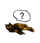 くろねこねころうとさびねこももえ（個別スタンプ：29）