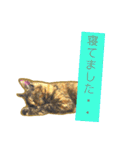 くろねこねころうとさびねこももえ（個別スタンプ：35）