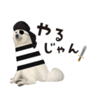 サモエドトトスタンプwithレオ（個別スタンプ：8）