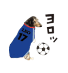 サモエドトトスタンプwithレオ（個別スタンプ：29）