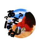 山田家のしんた君（個別スタンプ：6）