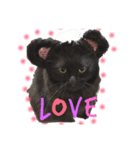 黒猫のちょこ（個別スタンプ：14）