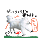 もふポメ福詠くん～言い訳編～（個別スタンプ：5）
