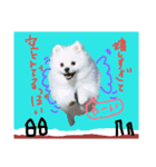 もふポメ福詠くん～言い訳編～（個別スタンプ：6）