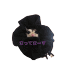 ももんがるーちゃんの日常スタンプ（個別スタンプ：9）