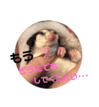 ももんがるーちゃんの日常スタンプ（個別スタンプ：18）