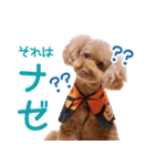 むうたんスタンプ（個別スタンプ：3）