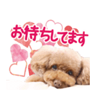 むうたんスタンプ（個別スタンプ：6）
