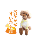 むうたんスタンプ（個別スタンプ：7）