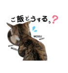 はち子（個別スタンプ：7）