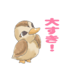 かるがもちゃん（個別スタンプ：16）