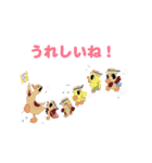 かるがもちゃん（個別スタンプ：24）