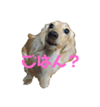 夢有とこゆき（個別スタンプ：2）