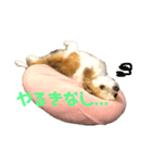 夢有とこゆき（個別スタンプ：4）
