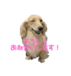 夢有とこゆき（個別スタンプ：5）
