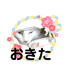 愛猫メイちゃんスタンプ（個別スタンプ：8）
