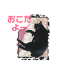 黒猫こおちゃんスタンプฅ（個別スタンプ：5）