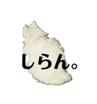 ブサ可愛いってこうゆうことだぞ？（個別スタンプ：3）