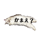 ブサ可愛いってこうゆうことだぞ？（個別スタンプ：5）