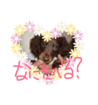 ムーとグーのスタンプ（個別スタンプ：5）