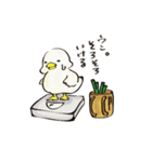 良いカモ（個別スタンプ：11）