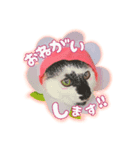 メッシュのかわいいお花さんたち～敬語ver（個別スタンプ：1）