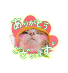 メッシュのかわいいお花さんたち～敬語ver（個別スタンプ：2）
