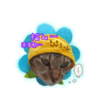 メッシュのかわいいお花さんたち～敬語ver（個別スタンプ：6）