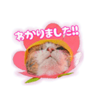 メッシュのかわいいお花さんたち～敬語ver（個別スタンプ：7）