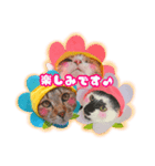 メッシュのかわいいお花さんたち～敬語ver（個別スタンプ：8）