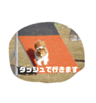 ドラシュタのびメイベルアズ（個別スタンプ：4）