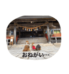 ドラシュタのびメイベルアズ（個別スタンプ：5）