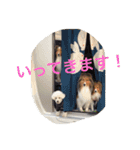 ドラシュタのびメイベルアズ（個別スタンプ：14）