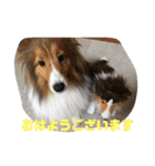 ドラシュタのびメイベルアズ（個別スタンプ：15）