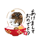 ドラシュタのびメイベルアズ（個別スタンプ：16）