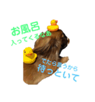 関西弁 愉快なダックスフンド❤️（個別スタンプ：5）