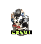 ラブリーペットスタンプ（個別スタンプ：11）