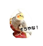 ラブリーペットスタンプ（個別スタンプ：28）