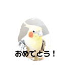 ラブリーペットスタンプ（個別スタンプ：36）