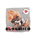 ぷりてぃぷりんちゃん（個別スタンプ：4）