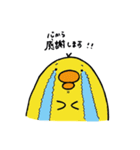 とりさん、時々くま吉。（個別スタンプ：34）