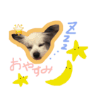 れみのスタンプ（個別スタンプ：6）